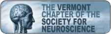vtsfnlogo